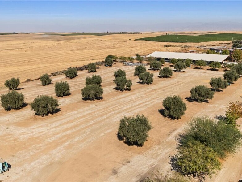 More Photos Of 34338 Nevis, Mc Farland Land For Sale