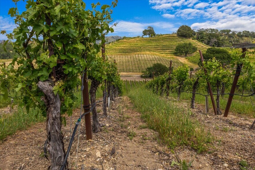 More Photos Of 13404 Flora Ranch Rd, Healdsburg Winery Vineyard For Sale