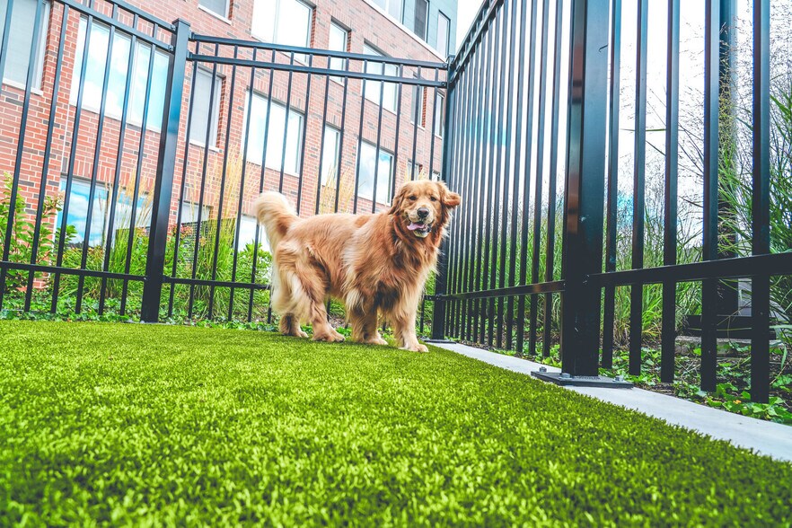 More Photos Of 7215 N District Ave, Lincolnwood Apartments For Lease