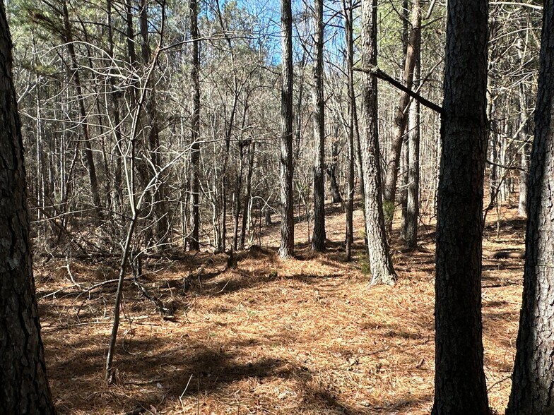 More Photos Of 3472 Prior Station Rd, Cedartown Land For Sale