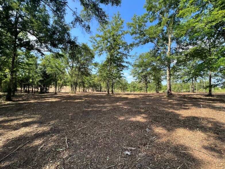 More Photos Of 9723 Airport Blvd, Mobile Land For Sale