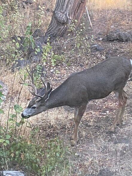 More Photos Of 61212 Obernolte Rd, Bend Specialty For Sale