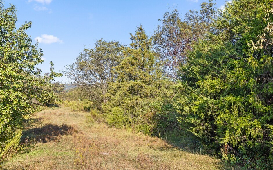 More Photos Of 0 Deer Head Cove Road, Rising Fawn Land For Sale