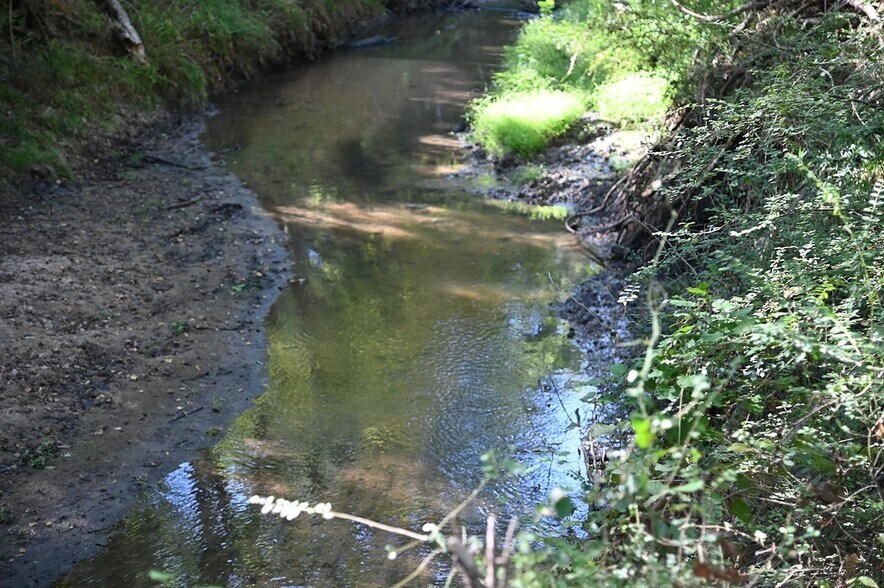 More Photos Of Jozwiak Ln, Hempstead Land For Sale