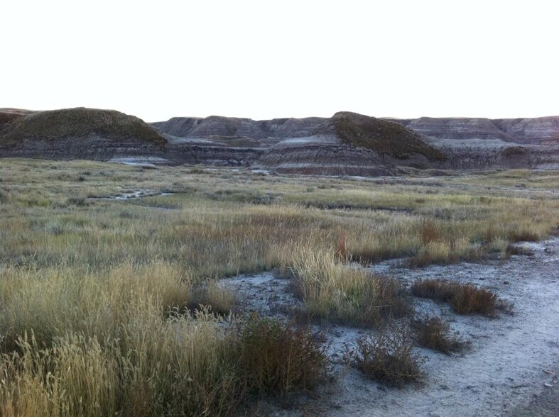More Photos Of 660 Elgin Hill Rd, Drumheller Land For Sale