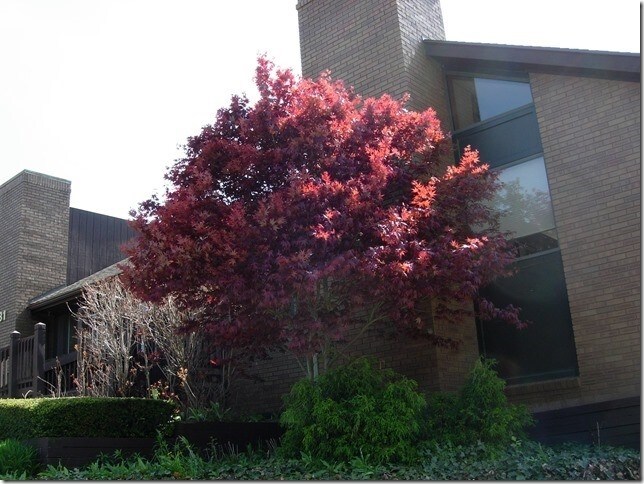 More Photos Of 4125 Okemos Rd, Okemos Office For Sale