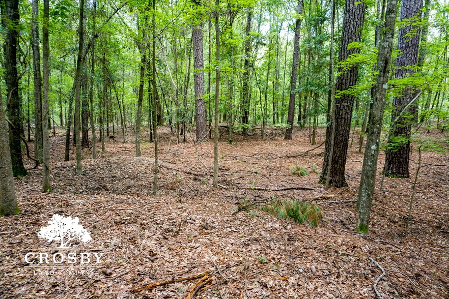 More Photos Of 3009 Lowcountry Drive, Ridgeland Land For Sale