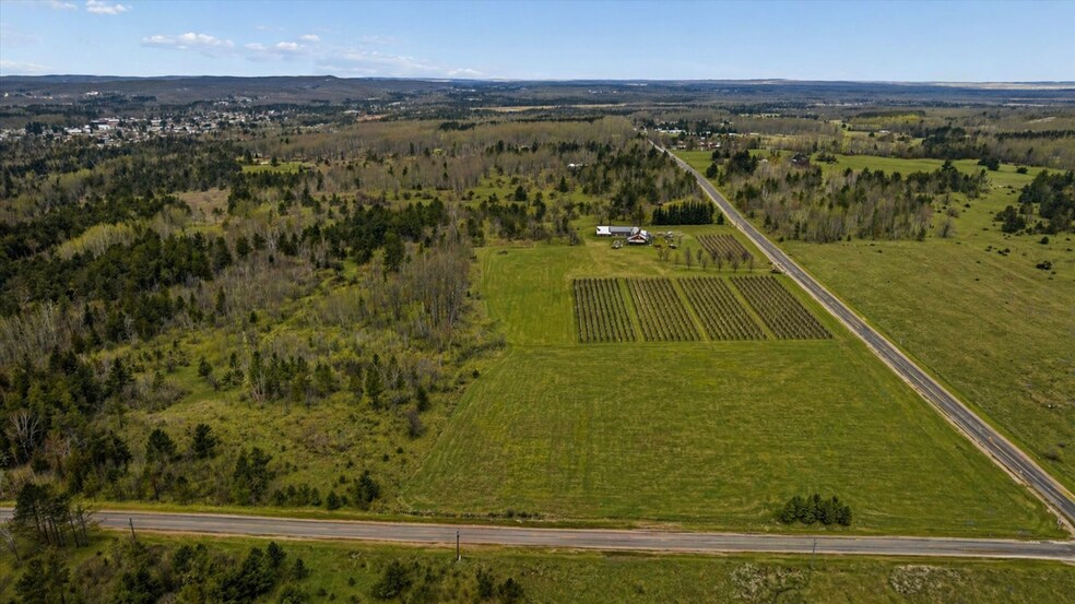 More Photos Of 8370 Lakeview Rd, Alanson Winery Vineyard For Sale