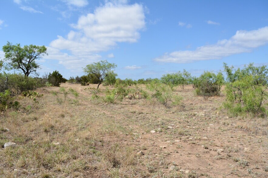 More Photos Of CR 1329, Paint Rock Land For Sale