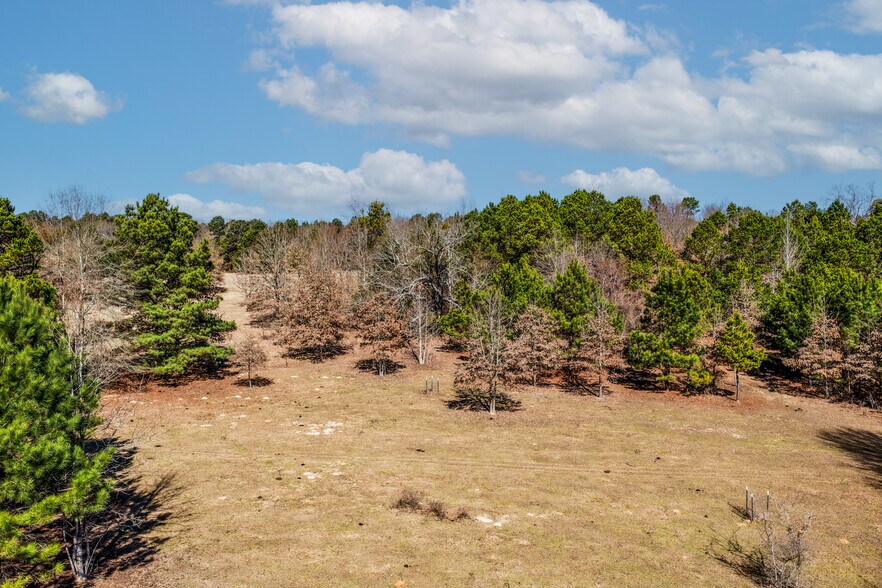 More Photos Of 1609 County Road 246 S rd, Tyler Land For Sale