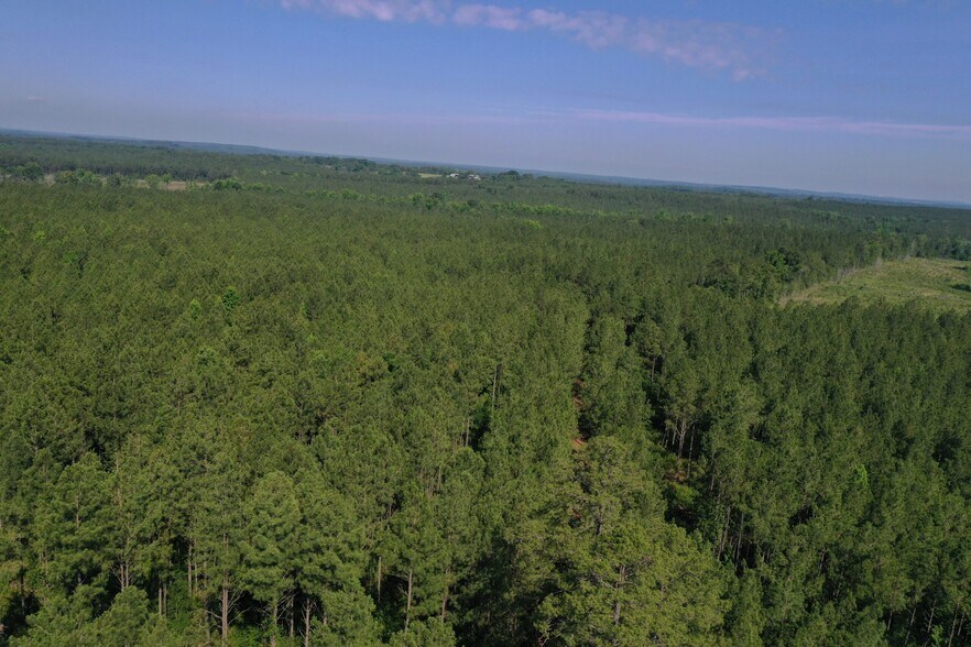 More Photos Of 00 Everett Chappell Rd, Mount Gilead Land For Sale