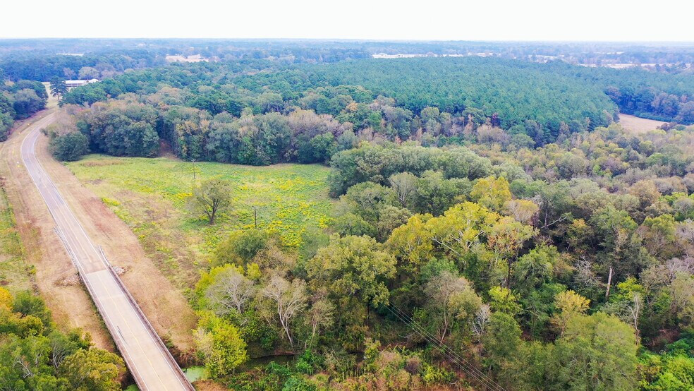 More Photos Of 5015 FM 561, Simms Land For Sale