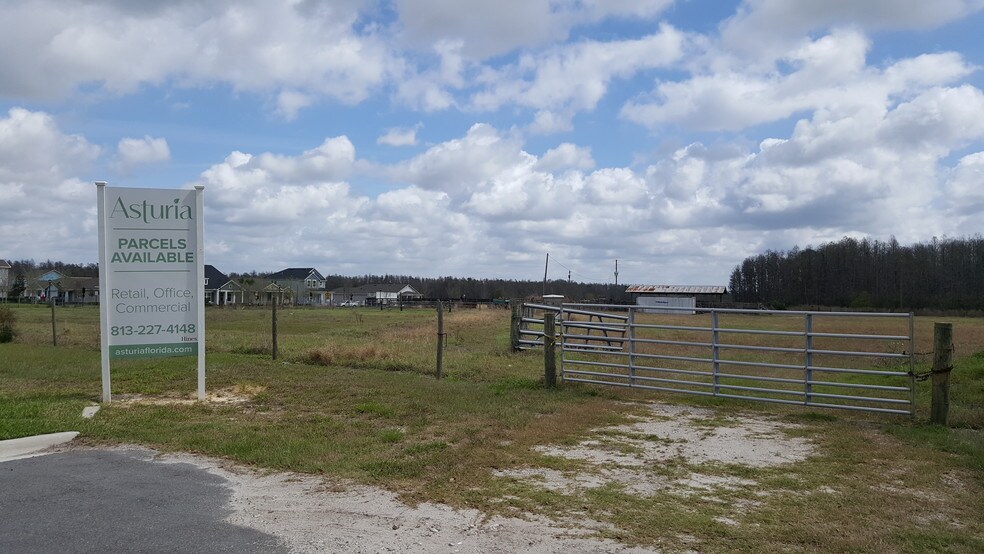 More Photos Of State Road 54, Odessa Land For Sale