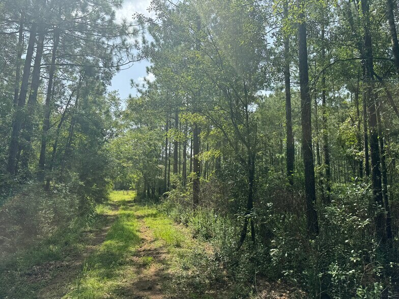 More Photos Of 0 Nokomis Road, Walnut Hill Land For Sale