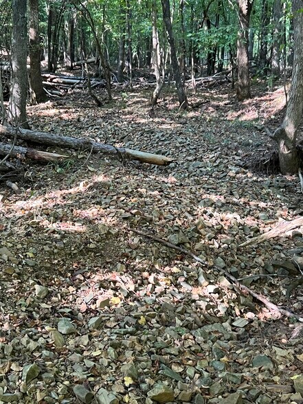 More Photos Of 92 Lillian Strong rd, Carlton Land For Sale