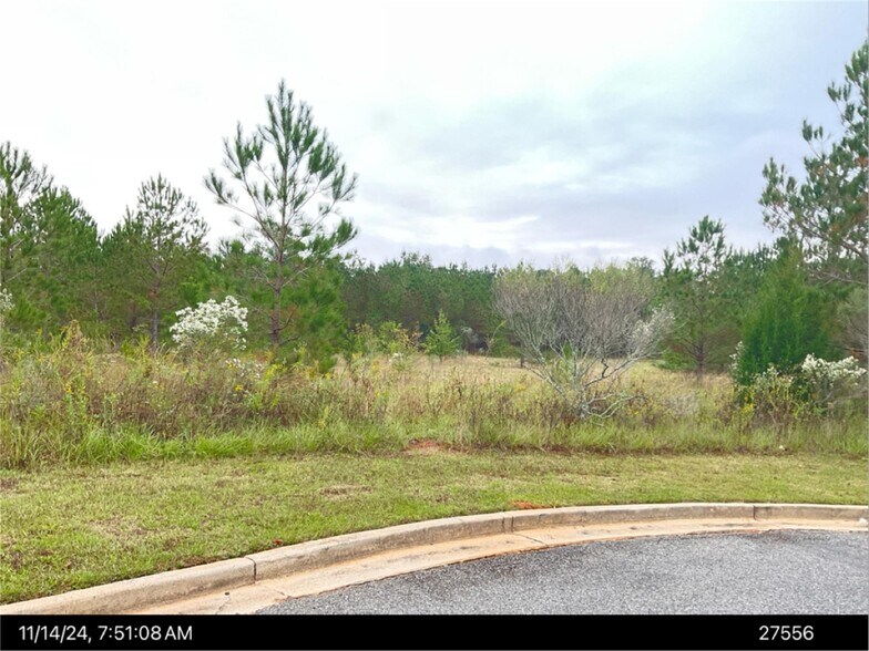 More Photos Of N. Hwy 41 @ Osigian Blvd., Warner Robins Land For Sale