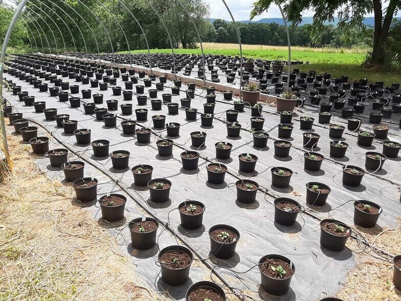 More Photos Of 1814 Iron Bridge Rd, Hustontown Contractor Storage Yard For Sale