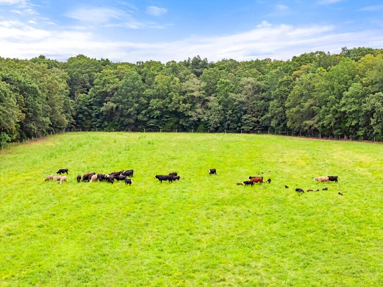 More Photos Of 5474 Woodside Ln, Bealeton Land For Sale