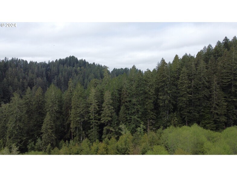 More Photos Of 18-10-00-00-01300500, Mapleton Land For Sale