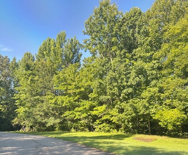 More Photos Of Jenny Lane 46 Acre Tract, Danville Land For Sale