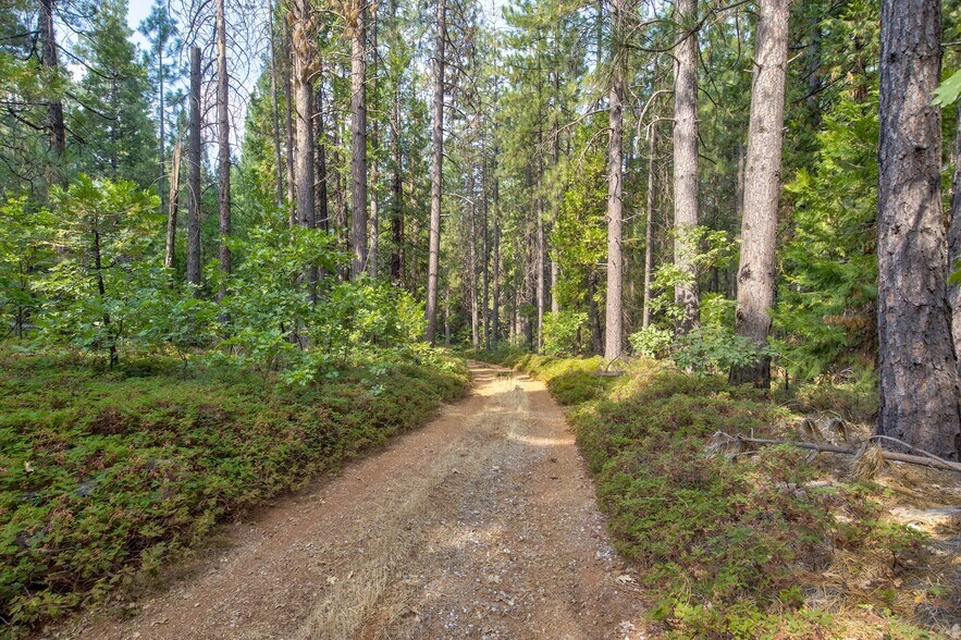 More Photos Of Mountain Dew Lane, Somerset Land For Sale