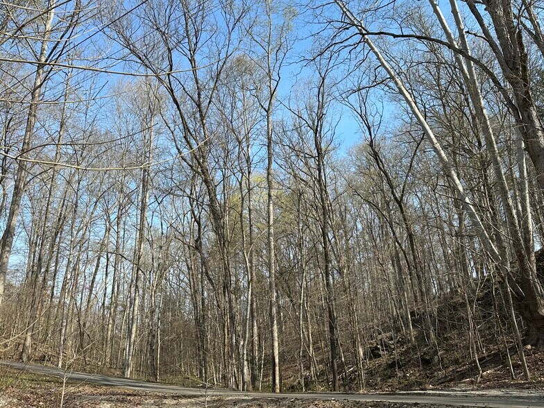 More Photos Of 7312 Highway 60, Georgetown Land For Sale