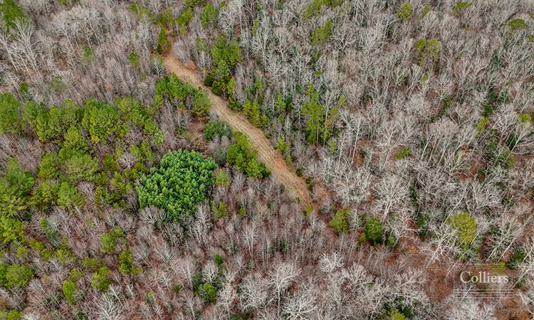 More Photos Of 00 Painter Road Rd, Pelzer Land For Sale