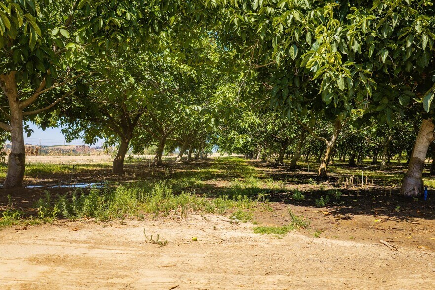 More Photos Of 24608 Yosemite, Waterford Land For Sale