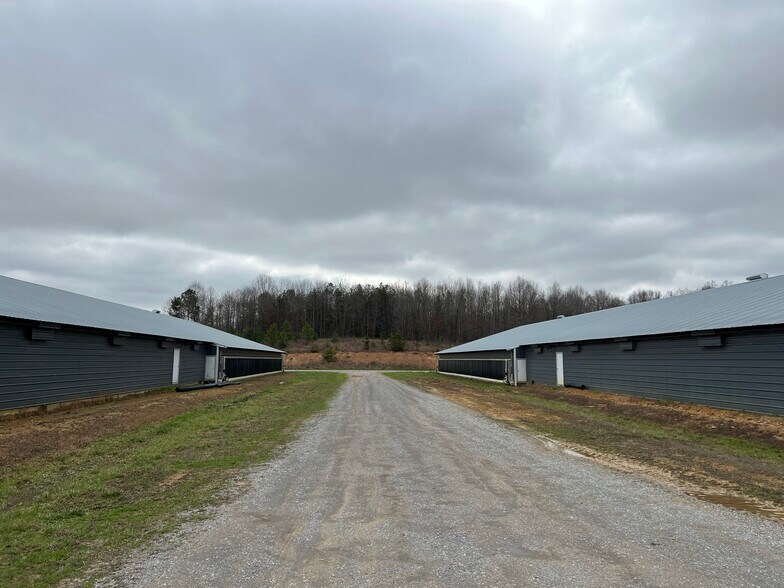 More Photos Of 25398 AL Highway 71, Flat Rock Land For Sale