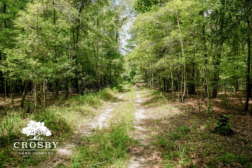 More Photos Of 3009 Lowcountry Drive, Ridgeland Land For Sale