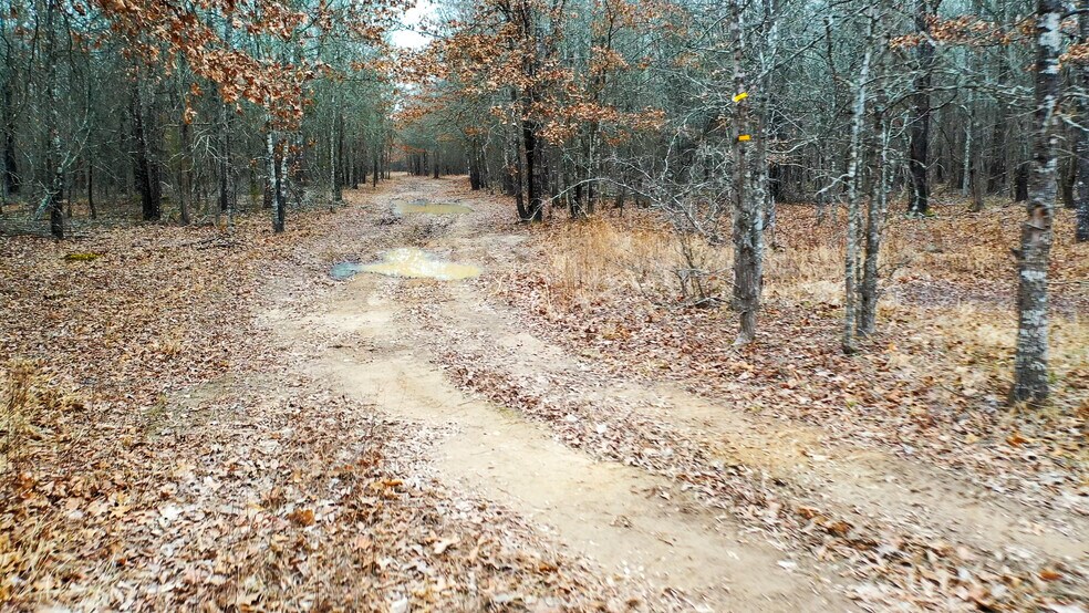 More Photos Of 1200 County 1255 rd, Detroit Land For Sale