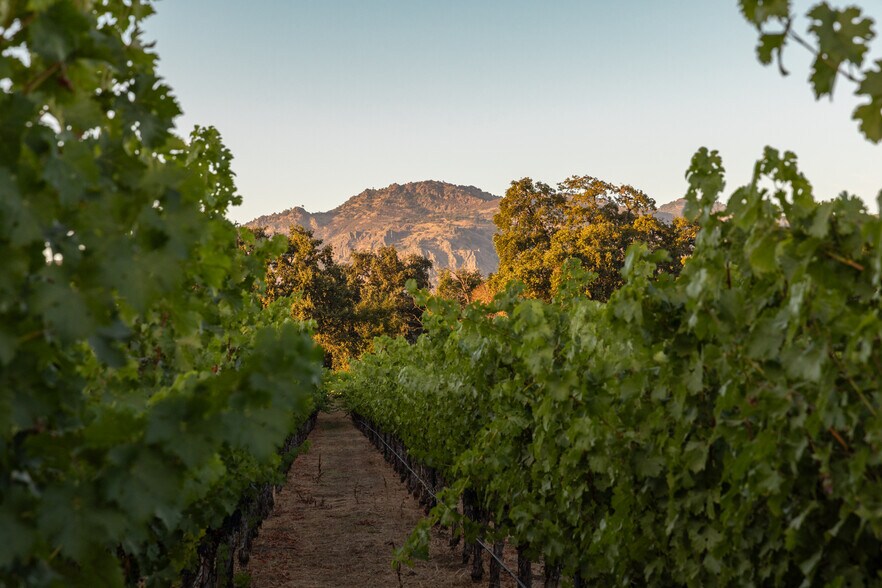 More Photos Of 0 Ragatz Lane, Napa Land For Sale