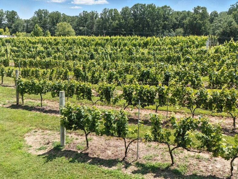 More Photos Of 124 Sandy Hill Ln, Hendersonville Winery Vineyard For Sale
