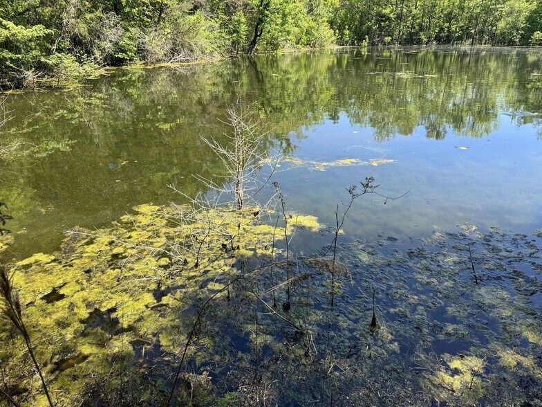 More Photos Of Highway 80 East, Gallion Land For Sale