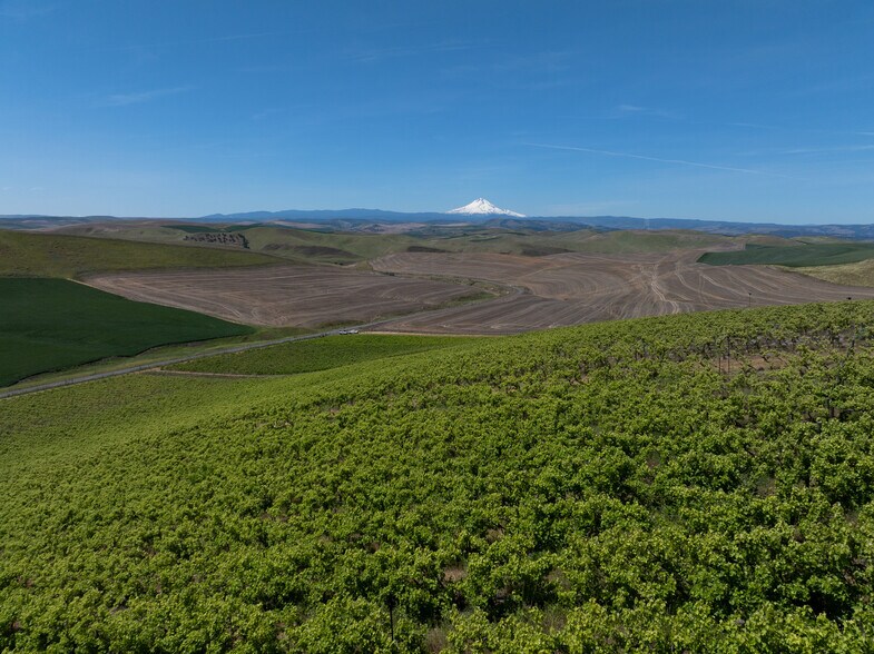 More Photos Of Emerson Loop Rd loop, The Dalles Land For Sale