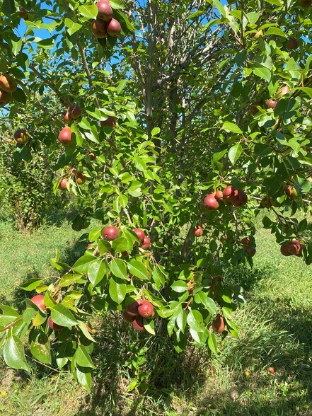 More Photos Of 157 Hergenrider Rd, Bridger Land For Sale