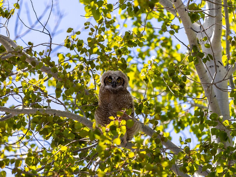 More Photos Of 4000 Lower Klamath Lake Rd, Klamath Falls Land For Sale