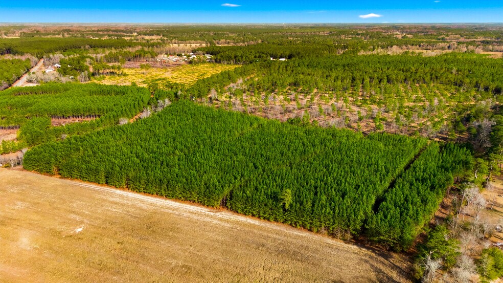 More Photos Of Highway 45, Loris Land For Sale