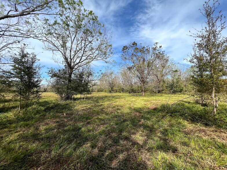 More Photos Of 0 Hwy 35, Van Vleck Land For Sale