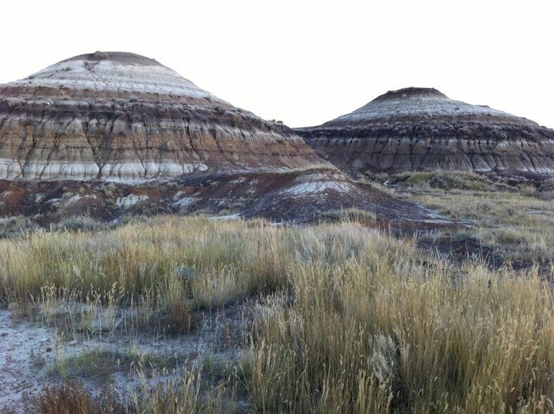More Photos Of 660 Elgin Hill Rd, Drumheller Land For Sale