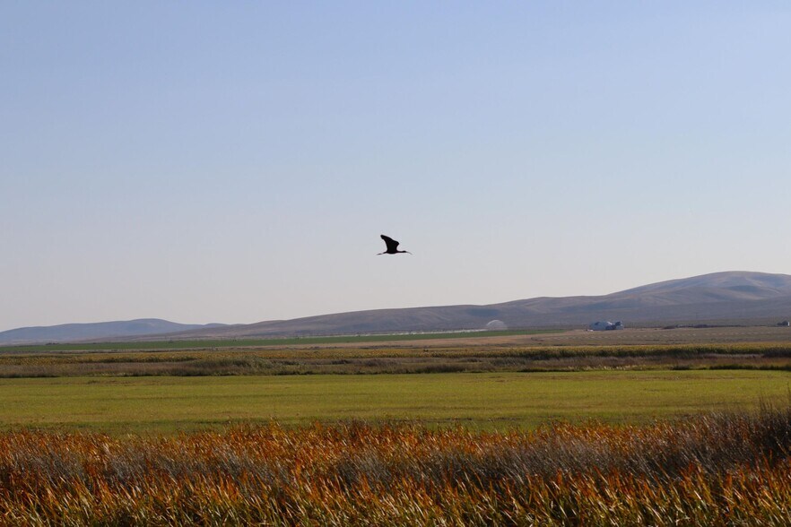 More Photos Of 0 Olsen Rd, Cokeville Land For Sale