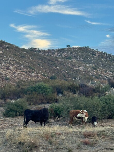 More Photos Of 18890 Old Julian Trail, Ramona Land For Sale
