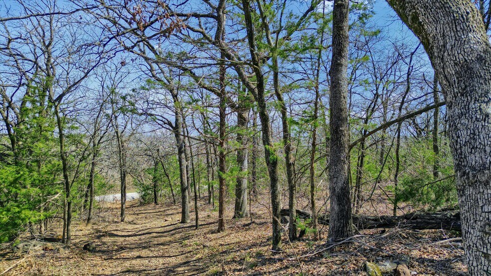 More Photos Of 278 Neely Trl, Gainesville Land For Sale