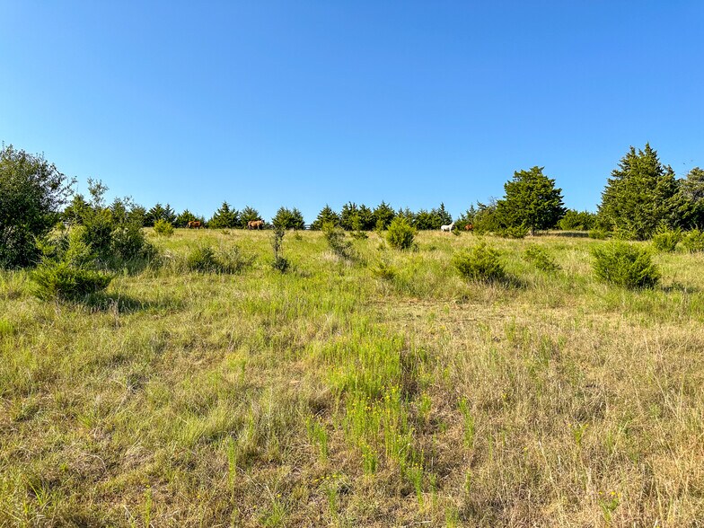 More Photos Of 5871 Roper Rd, Sperry Land For Sale