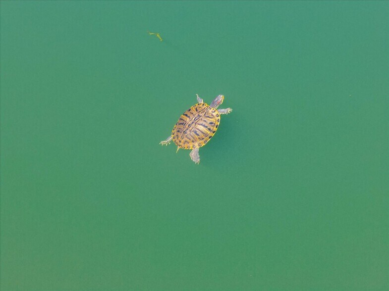 More Photos Of 31630 Forwards Rd, Manton Land For Sale