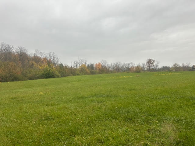 More Photos Of 2608 Harvey Rd, Mason Land For Sale