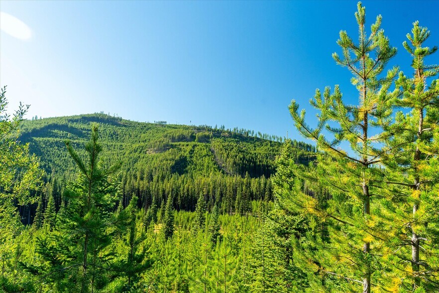 More Photos Of Nhn Logan Creek Road, Kila Land For Sale