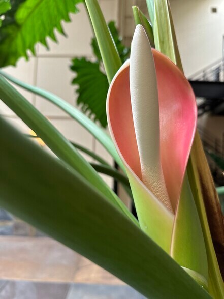 More Photos Of 111 Rhode Island St, San Francisco Showroom For Lease