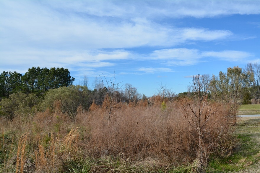 More Photos Of 1200 Granite Falls Blvd, Rolesville Land For Sale