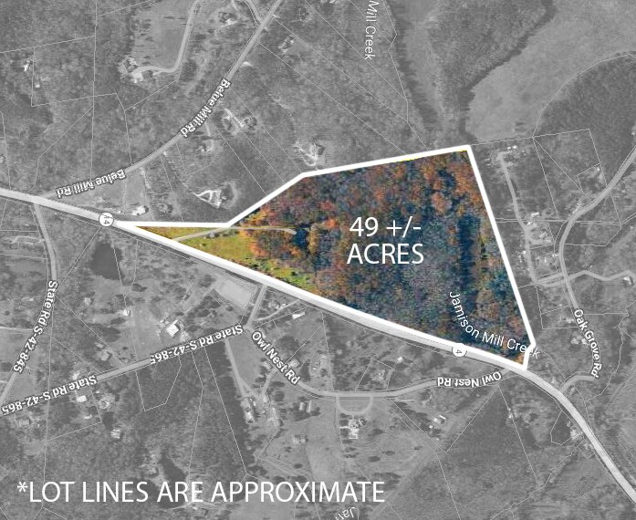 Primary Photo Of 1010 Highway 14 W, Landrum Land For Sale